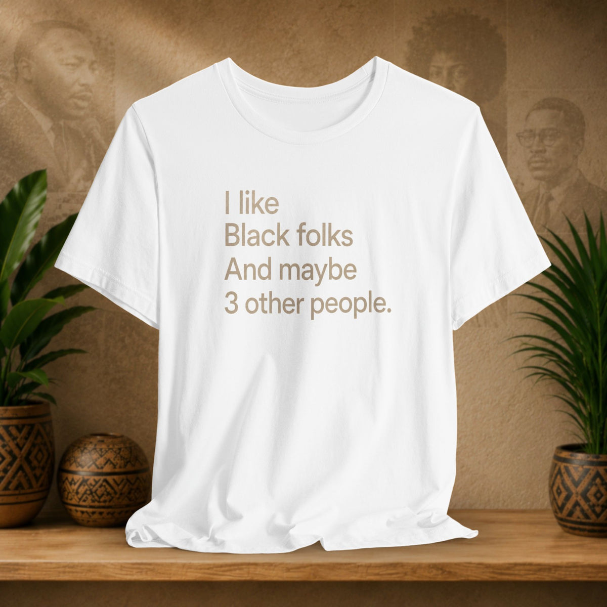 A white short-sleeve t-shirt with a brown printed text graphic reading 'I like Black folks And maybe 3 other people.' displayed on a wooden shelf with potted plants and a textured background.