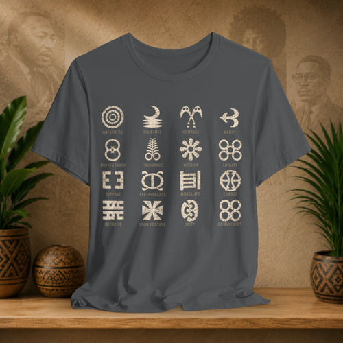 A dark gray crewneck t-shirt with a grid of 15 Native American-inspired geometric and animal symbols printed in beige on the front, displayed on a wooden shelf with potted plants and a textured background.