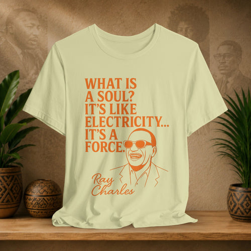 T-shirt with Ray Charles quote on a wooden shelf with plants and decorative items.